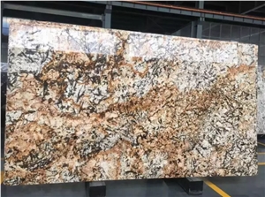 Unique Delicatus Gold Granite Slab for Wall Decor