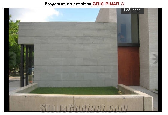 Arenisca Gris Pinar, Spain Grey Sandstone