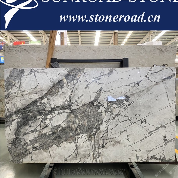 Invisible Grey Polished Marble Slabs Luxury Marble