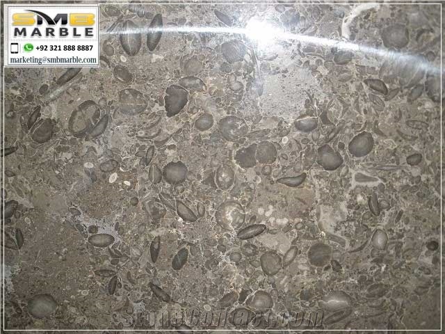 Pakistani Light Grey Brown Oceanic Marble