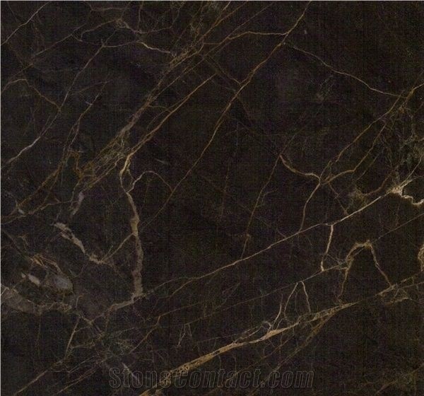China Dior Gold Marble Slab Tile Brown Floor Wall