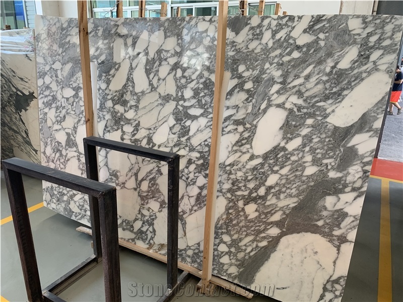 Italy Arabescato Corchia White Marble Slab Tile Floor