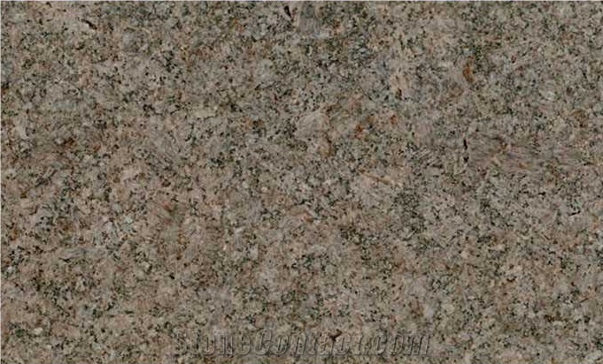 Granite Gbk02 Slabs & Tiles, Iran Brown Granite