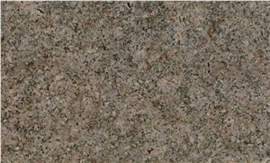 Granite Gbk02 Slabs & Tiles, Iran Brown Granite