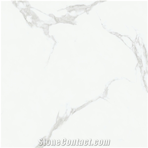 Carrara Holywhite Pure White Jade Marble Porcelain Tile Wall
