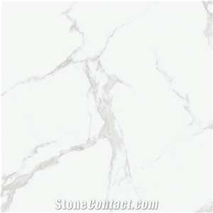 Carrara Holywhite Pure White Jade Marble Porcelain Tile Wall