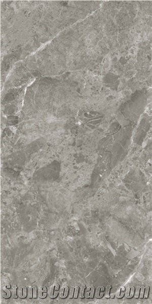 Italy Exclusive Silver Storm Marble Porcelain Slab Walling
