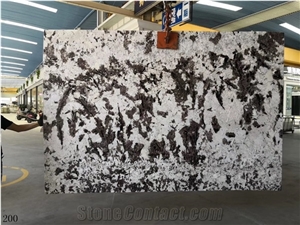 Silver Fox Granite White Black Slab Brazil Luxury Wall Tiles