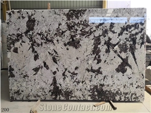Silver Fox Granite White Black Slab Brazil Luxury Wall Tiles