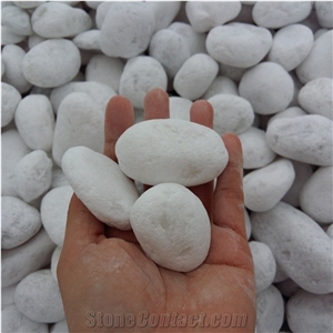Big Size White Color Tumbled Pebble Stone