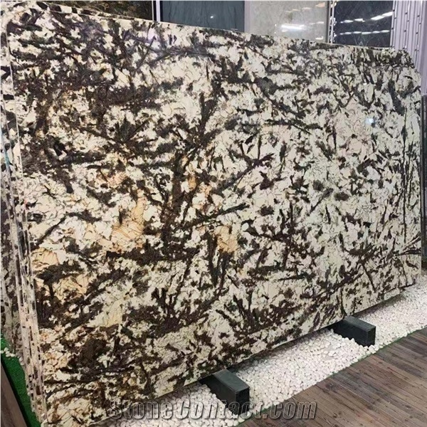 Imported Natural Stone Golden Granite Slab for Countertop