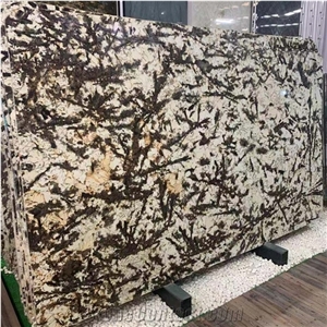 Imported Natural Stone Golden Granite Slab for Countertop