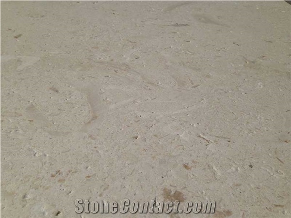 Fossil Beige Limestone Pattern