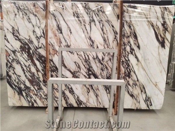 High Polished Calacatta Violet Marble Slabs