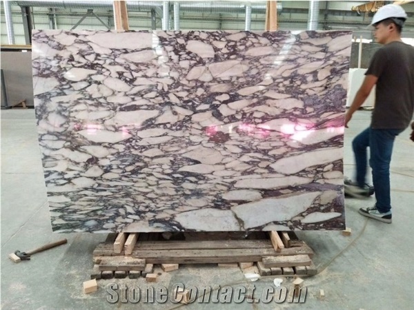 High Polished Calacatta Violet Marble Slabs