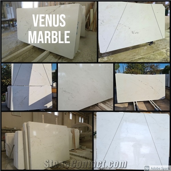Venato Venus Marble Bianco White Marbles Slabs and Tiles