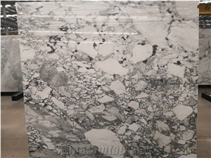 Fossil Grey Unique Marble Slabs for Wall and Floor