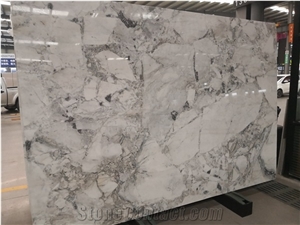 Fossil Grey Unique Marble Slabs for Wall and Floor