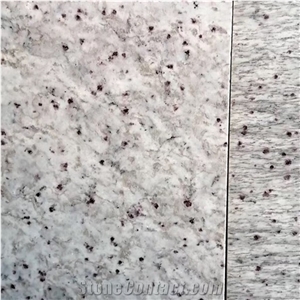 Indian Galaxy White Granite Flooring Tiles