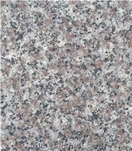 New G664 Granite Tiles for Sale Middle East Market