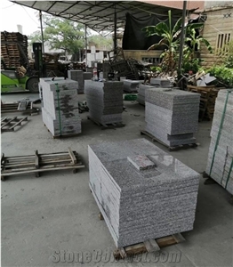 New G664 Granite Tiles for Sale Middle East Market