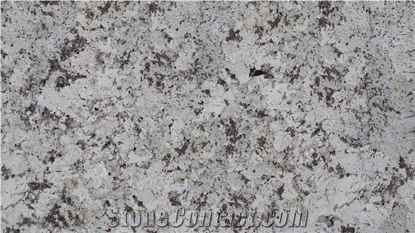 Alaska-White-Slab Granite Tiles