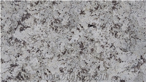 Alaska-White-Slab Granite Tiles