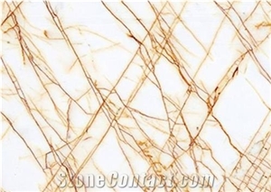 Golden Spider Marble Big Slabs Golden Veins