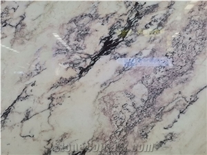 Calacatta Viola Marble Bookmatched Large Format Slabs