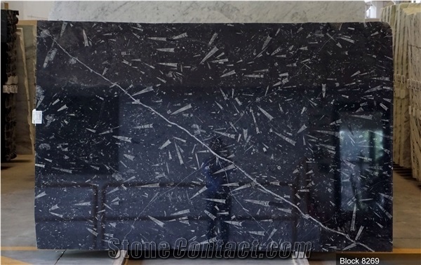 Black Fossil Marble Slabs - Nero Fossile Marble