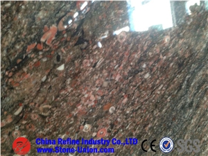 Shell Reef Brown Marble Slabs, Marble Floor Tile