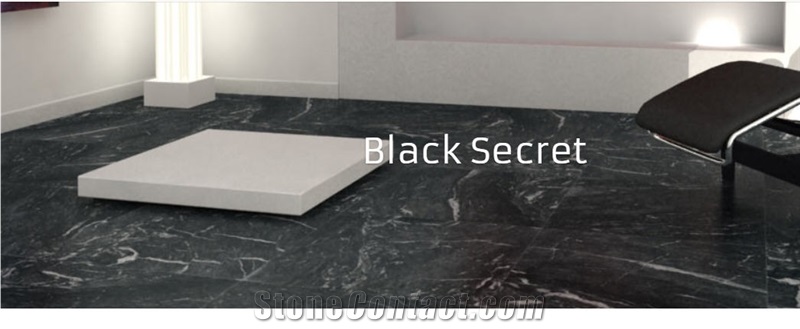 Black Secret Marble - Silver Moon Marble Tiles