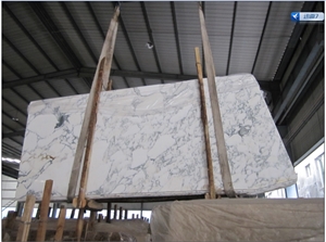 Arabescato Carrara White Marble Floor Walltileslab