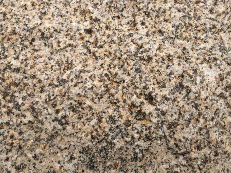 G682 Padang Yellow Granite Slab Tile
