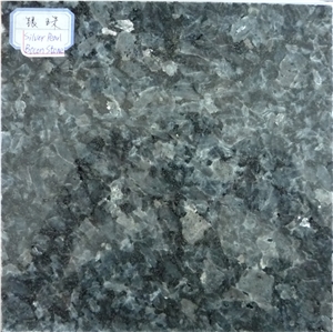 Silver Pearl Granite Polished Slab Tile