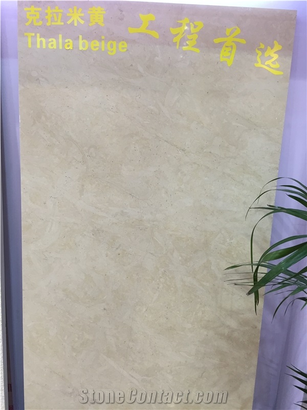 Thala Beige Marble Slab Tile for Wall Floor Step Project