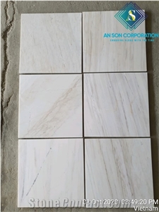Polished Vietnam Pallisandro Marble Tiles