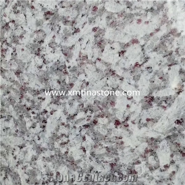 Jasmine White Granite Slabs Wall Floor Tile