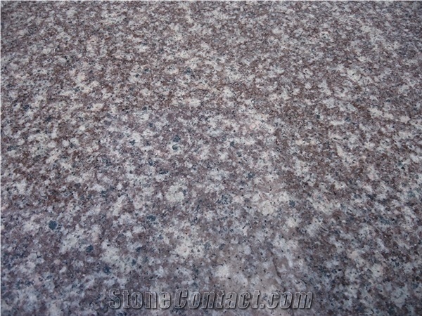 Hot Selling Polished Stone Slabs Granite G664 Tiles Paving