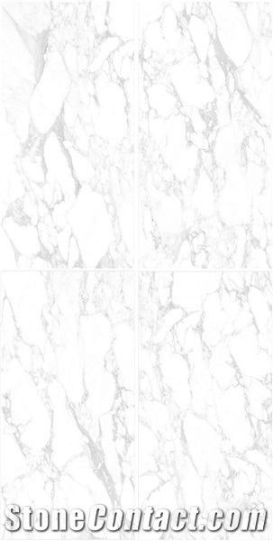 Italy Quarry High Quality Statuario White Porcelain Tiles