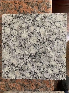 Polished Purple Star Blue Diamond Granite Wall Cladding Tile