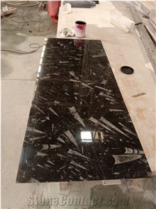 Black Fossil Marble Slabs and & Tiles
