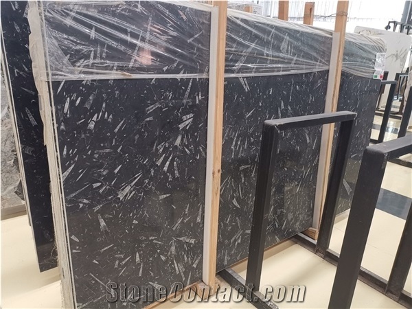 Black Fossil Marble Slabs and & Tiles