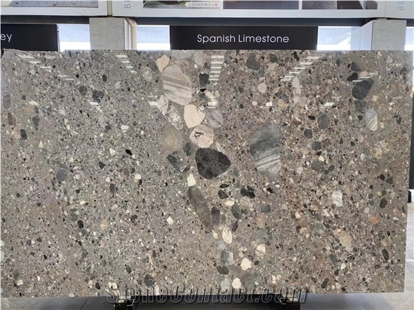 Italy Original Natural Fossil Grey Limestone Slab
