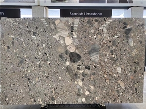 Italy Original Natural Fossil Grey Limestone Slab