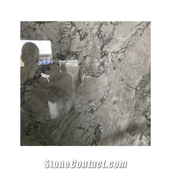 Luxury Stone Picasso Grey Marble Slab and Tile Price