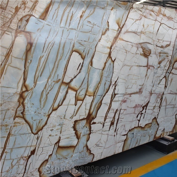 Polished Stone Mapa Mundi Quartzite Slabs