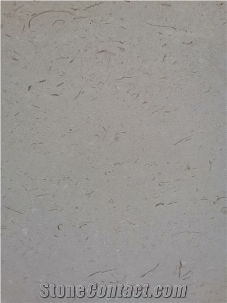 White Fossil Limestone Slabs Bathroom Wall Cladding