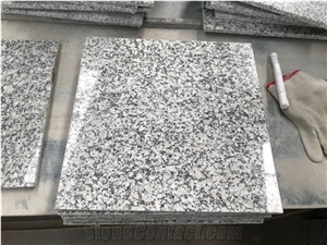 New Bianco Sardo G602 Grey Granite 30.5*30.5*1cm Tiles