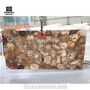 China Fossil Stone Petrified Wood Semiprecious Stone Slabs